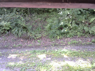 長野県菅平高原 ゆたか山荘 南側 2025/08/31 10:30