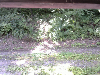 長野県菅平高原 ゆたか山荘 南側 2025/08/31 10:45