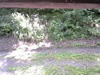 長野県菅平高原 ゆたか山荘 南側 2025/08/31 11:00