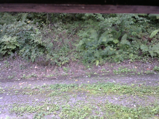 長野県菅平高原 ゆたか山荘 南側 2025/08/31 11:15