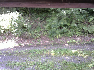 長野県菅平高原 ゆたか山荘 南側 2025/08/31 11:30