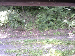 長野県菅平高原 ゆたか山荘 南側 2025/08/31 11:45