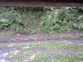 長野県菅平高原 ゆたか山荘 南側 2025/08/31 12:15