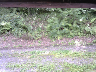 長野県菅平高原 ゆたか山荘 南側 2025/08/31 12:45