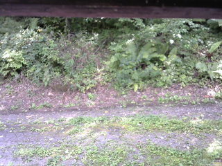 長野県菅平高原 ゆたか山荘 南側 2025/08/31 13:00