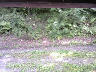 長野県菅平高原 ゆたか山荘 南側 2025/08/31 13:15