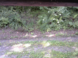 長野県菅平高原 ゆたか山荘 南側 2025/08/31 13:30