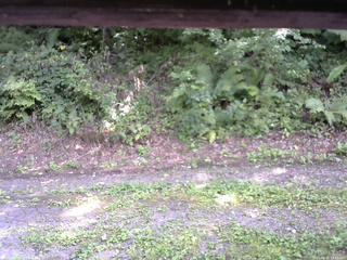 長野県菅平高原 ゆたか山荘 南側 2025/08/31 13:45