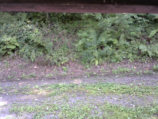 長野県菅平高原 ゆたか山荘 南側 2025/08/31 14:00