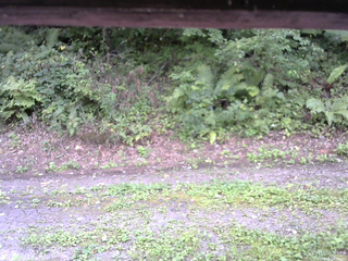 長野県菅平高原 ゆたか山荘 南側 2025/08/31 14:15