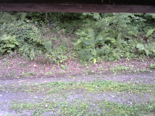 長野県菅平高原 ゆたか山荘 南側 2025/08/31 14:30