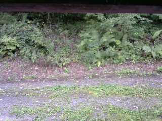 長野県菅平高原 ゆたか山荘 南側 2025/08/31 14:45