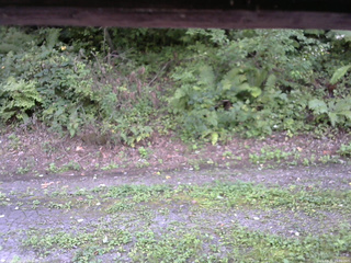 長野県菅平高原 ゆたか山荘 南側 2025/08/31 15:00