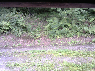 長野県菅平高原 ゆたか山荘 南側 2025/08/31 15:15