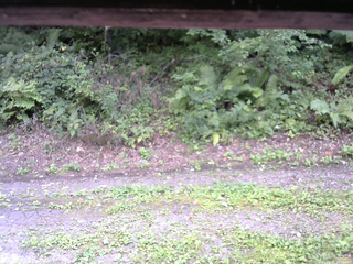 長野県菅平高原 ゆたか山荘 南側 2025/08/31 15:30