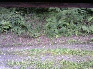 長野県菅平高原 ゆたか山荘 南側 2025/08/31 15:45