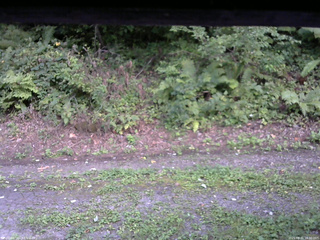 長野県菅平高原 ゆたか山荘 南側 2025/08/31 16:30