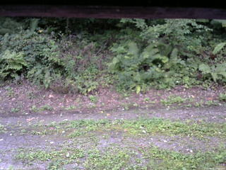 長野県菅平高原 ゆたか山荘 南側 2025/08/31 17:00