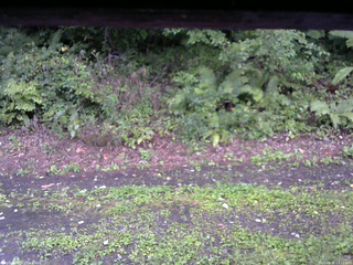 長野県菅平高原 ゆたか山荘 南側 2025/08/31 17:15