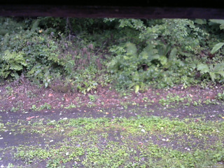 長野県菅平高原 ゆたか山荘 南側 2025/08/31 17:30