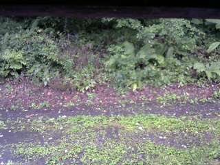 長野県菅平高原 ゆたか山荘 南側 2025/08/31 17:45