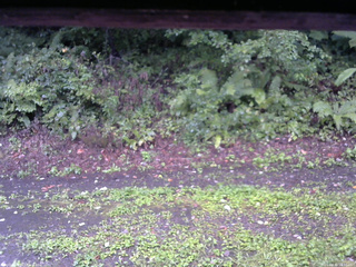 長野県菅平高原 ゆたか山荘 南側 2025/08/31 18:00