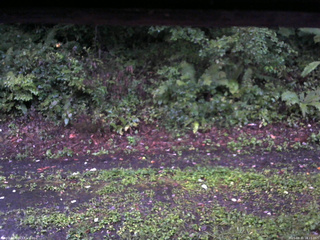 長野県菅平高原 ゆたか山荘 南側 2025/08/31 18:15