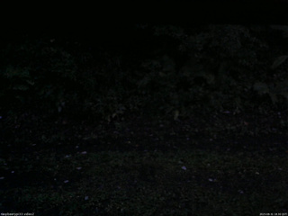 長野県菅平高原 ゆたか山荘 南側 2025/08/31 18:30