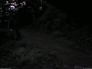 長野県菅平高原 ゆたか山荘 東側(坂下) 2025/08/31 05:00