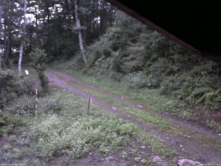 長野県菅平高原 ゆたか山荘 東側(坂下) 2025/08/31 05:15