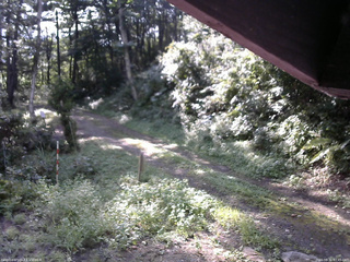 長野県菅平高原 ゆたか山荘 東側(坂下) 2025/08/31 07:45