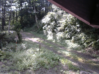 長野県菅平高原 ゆたか山荘 東側(坂下) 2025/08/31 08:00