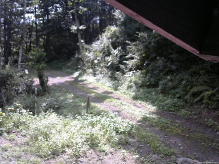 長野県菅平高原 ゆたか山荘 東側(坂下) 2025/08/31 08:45
