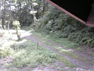 長野県菅平高原 ゆたか山荘 東側(坂下) 2025/08/31 10:45