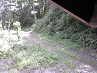 長野県菅平高原 ゆたか山荘 東側(坂下) 2025/08/31 11:00