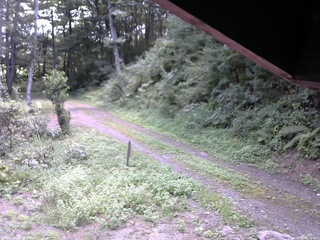 長野県菅平高原 ゆたか山荘 東側(坂下) 2025/08/31 11:15