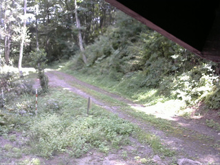 長野県菅平高原 ゆたか山荘 東側(坂下) 2025/08/31 12:30