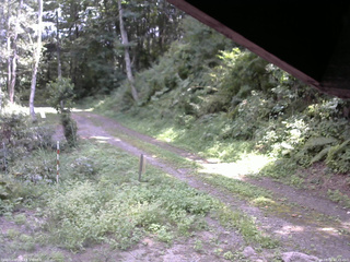 長野県菅平高原 ゆたか山荘 東側(坂下) 2025/08/31 12:45