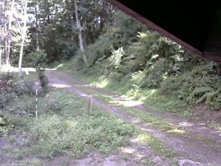 長野県菅平高原 ゆたか山荘 東側(坂下) 2025/08/31 13:00