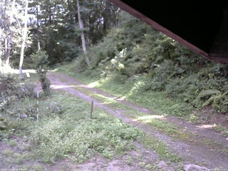 長野県菅平高原 ゆたか山荘 東側(坂下) 2025/08/31 13:15