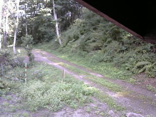 長野県菅平高原 ゆたか山荘 東側(坂下) 2025/08/31 14:30