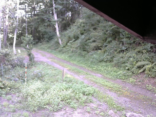 長野県菅平高原 ゆたか山荘 東側(坂下) 2025/08/31 14:45