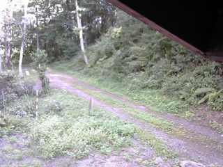 長野県菅平高原 ゆたか山荘 東側(坂下) 2025/08/31 15:00