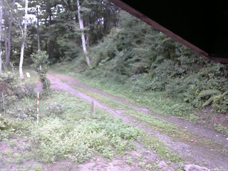 長野県菅平高原 ゆたか山荘 東側(坂下) 2025/08/31 15:45