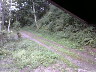 長野県菅平高原 ゆたか山荘 東側(坂下) 2025/08/31 16:15