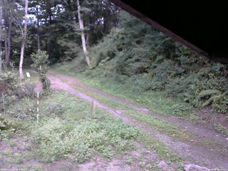 長野県菅平高原 ゆたか山荘 東側(坂下) 2025/08/31 16:45