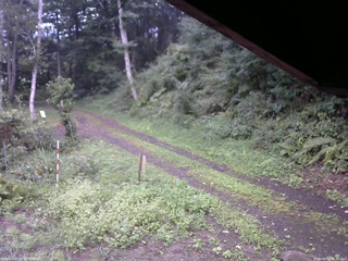 長野県菅平高原 ゆたか山荘 東側(坂下) 2025/08/31 17:30