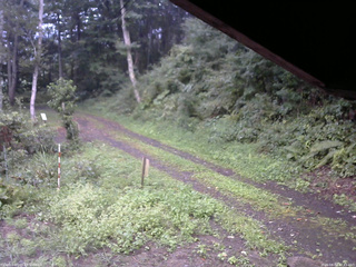 長野県菅平高原 ゆたか山荘 東側(坂下) 2025/08/31 17:45