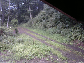 長野県菅平高原 ゆたか山荘 東側(坂下) 2025/08/31 18:00