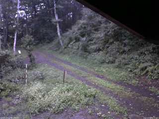 長野県菅平高原 ゆたか山荘 東側(坂下) 2025/08/31 18:15